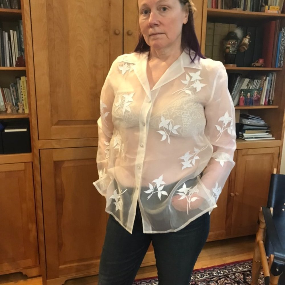 Kate Hill Sheer Embroidered Silk Blouse